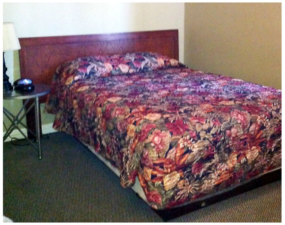 Suite View 1